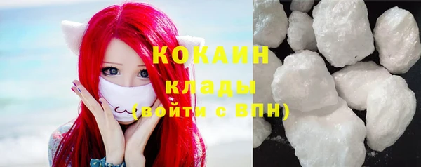 индика Балахна