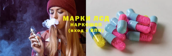 индика Балахна