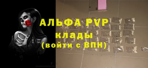 индика Балахна
