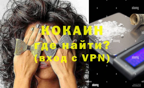 индика Балахна