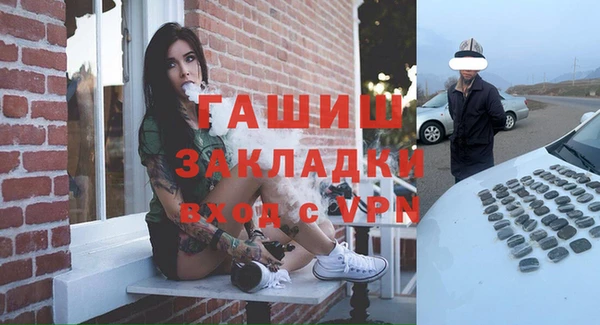 индика Балахна