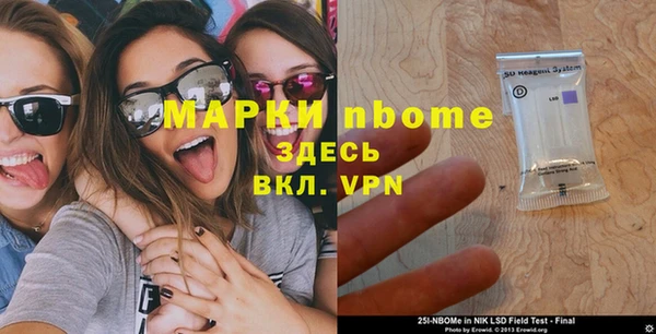 индика Балахна