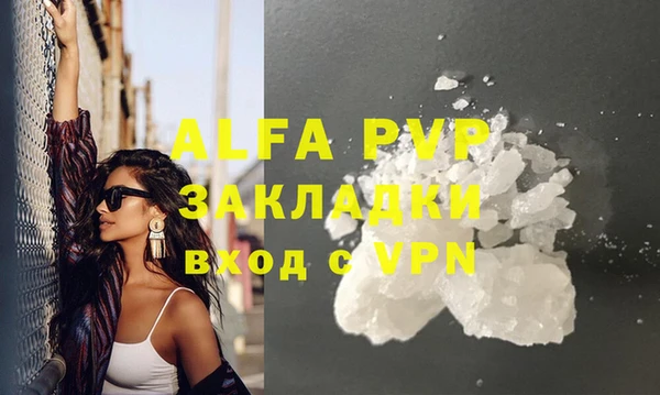 индика Балахна