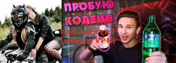 индика Балахна