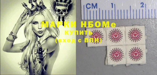 индика Балахна