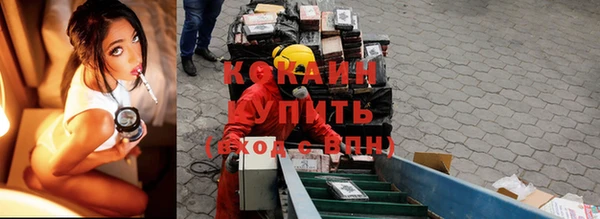 индика Балахна