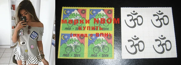 индика Балахна